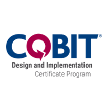 COBIT Design and Implementation